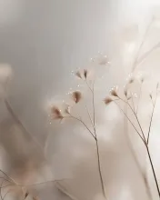 Soft abstract image of delicate plant stems with fine seed heads and light particles on a calm neutral background.